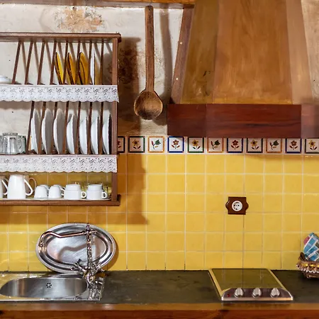 Kır Evi Tamasite